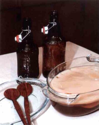 Kombucha Tea Health Benefits